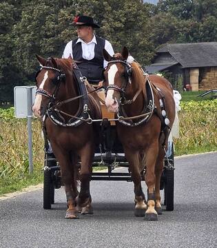 POSESTVO DOBRODIH - KOČIJA